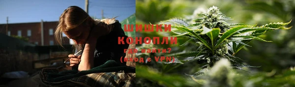 СК Кодинск