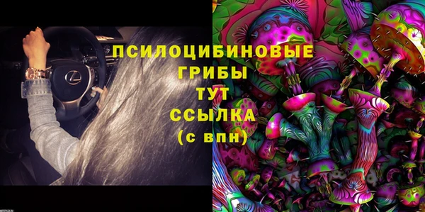 тгк Козловка