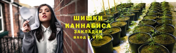 СК Кодинск