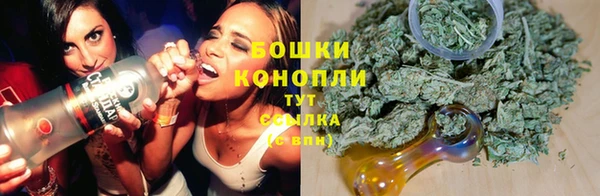 тгк Козловка