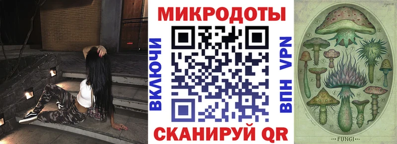 Купить где  Каменка  Галлюциногенные грибы Cubensis 